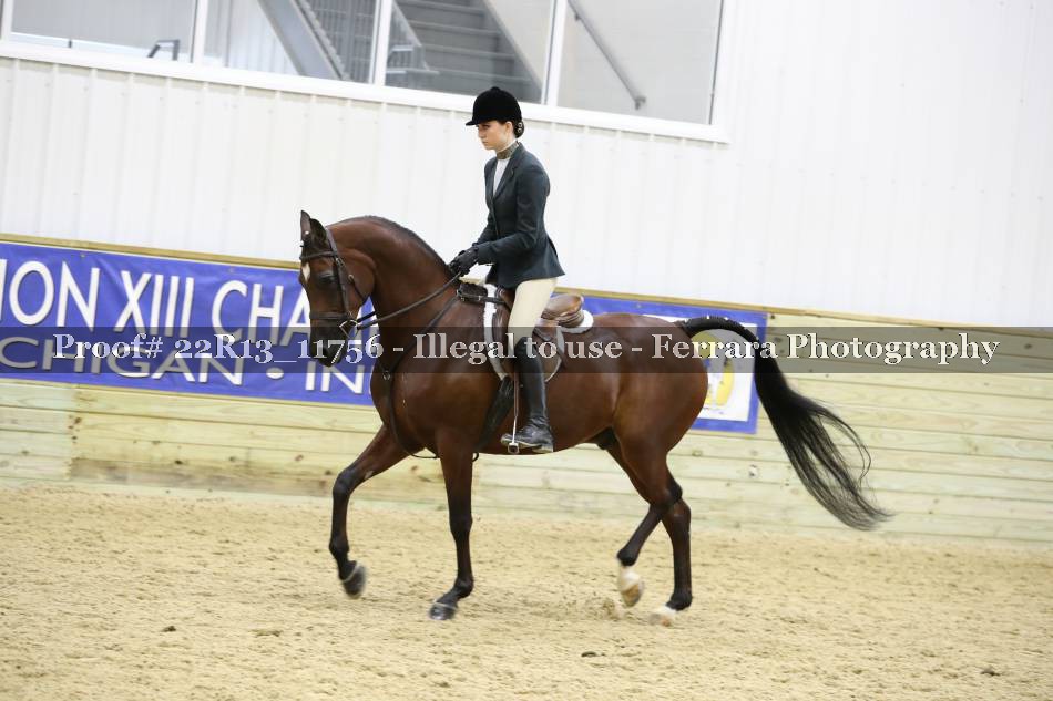 Proof 22R13_11756
