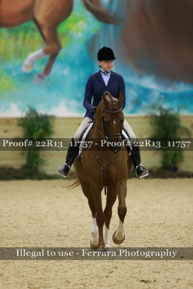 Proof 22R13_11757