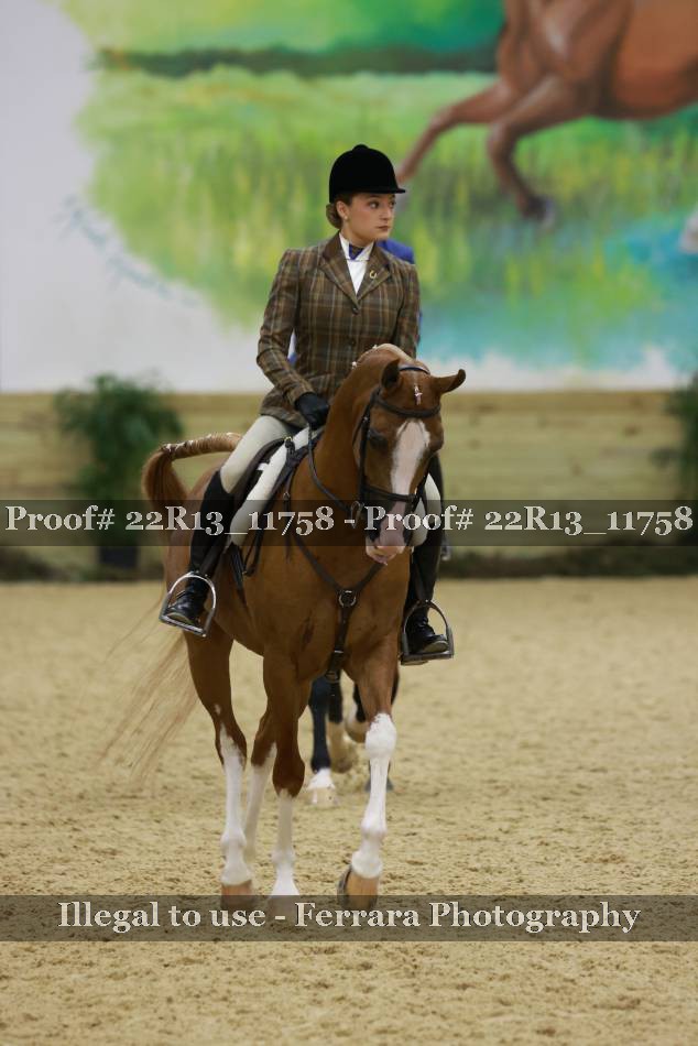 Proof 22R13_11758
