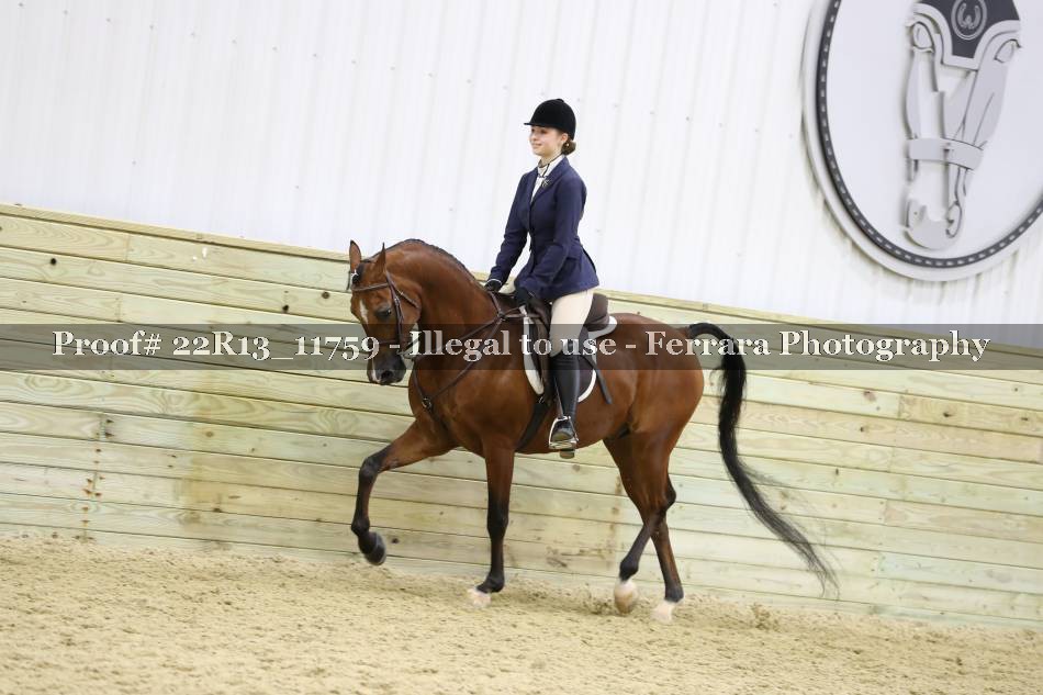 Proof 22R13_11759