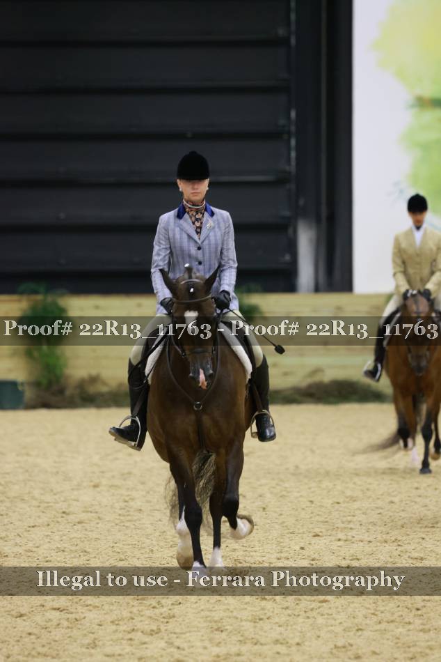 Proof 22R13_11763
