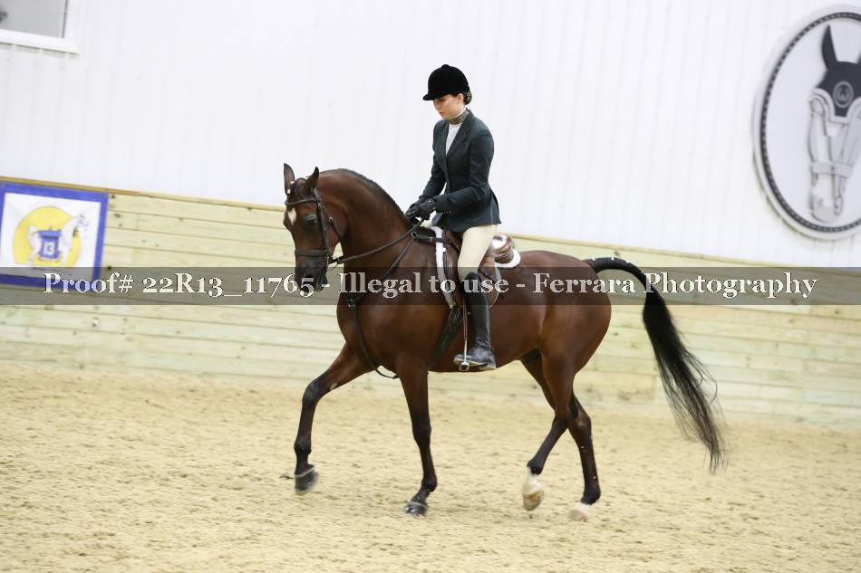 Proof 22R13_11765
