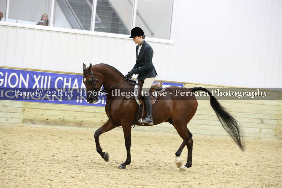 Proof 22R13_11766