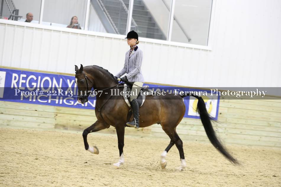 Proof 22R13_11767