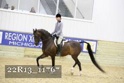 22R13_11767 proof