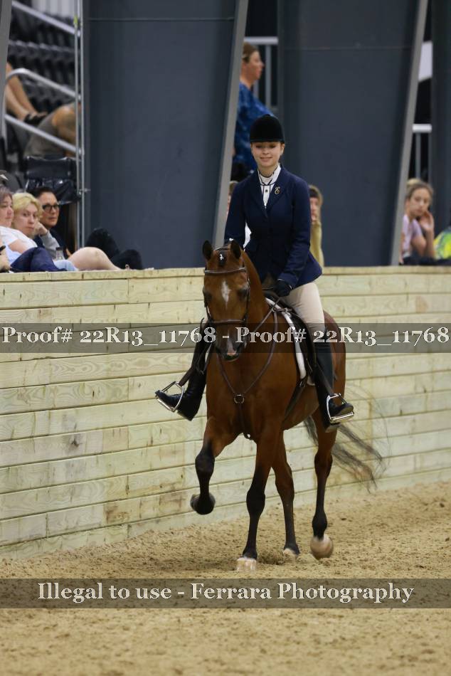 Proof 22R13_11768