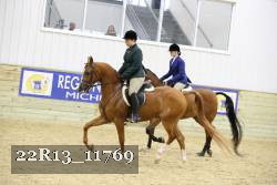 22R13_11769 proof