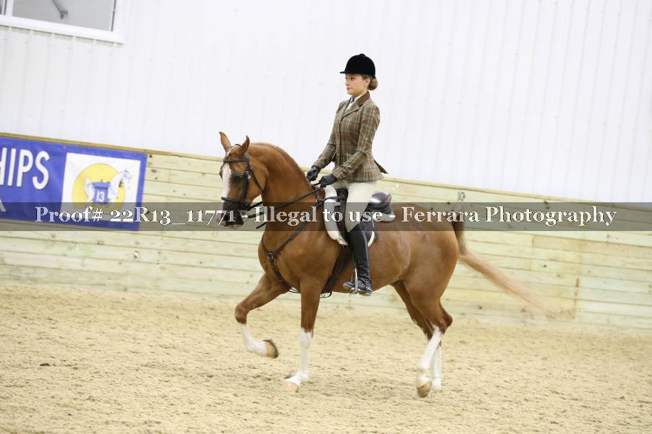Proof 22R13_11771