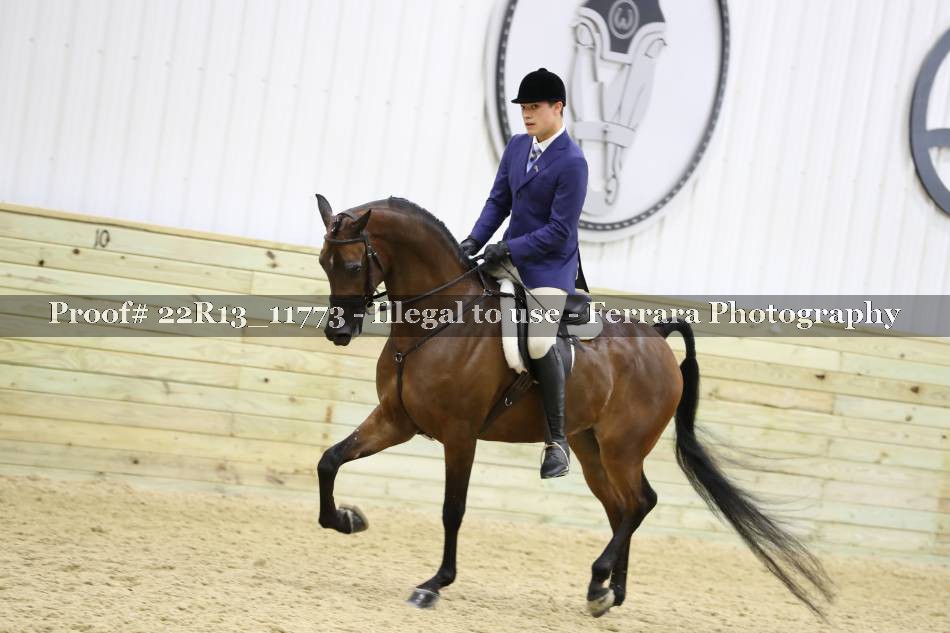 Proof 22R13_11773