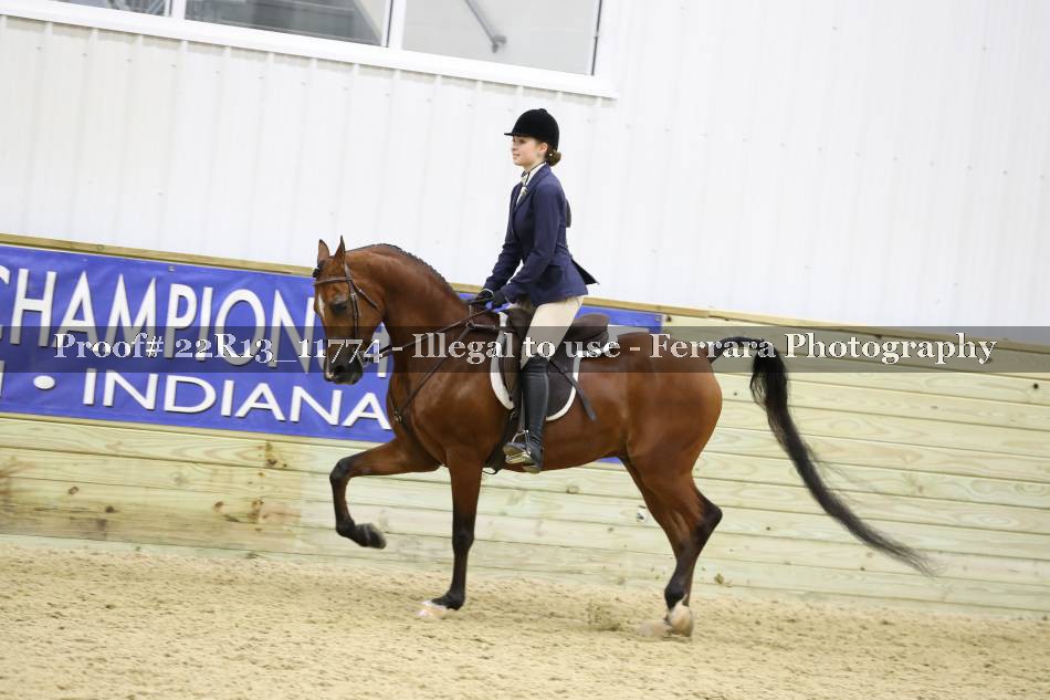 Proof 22R13_11774