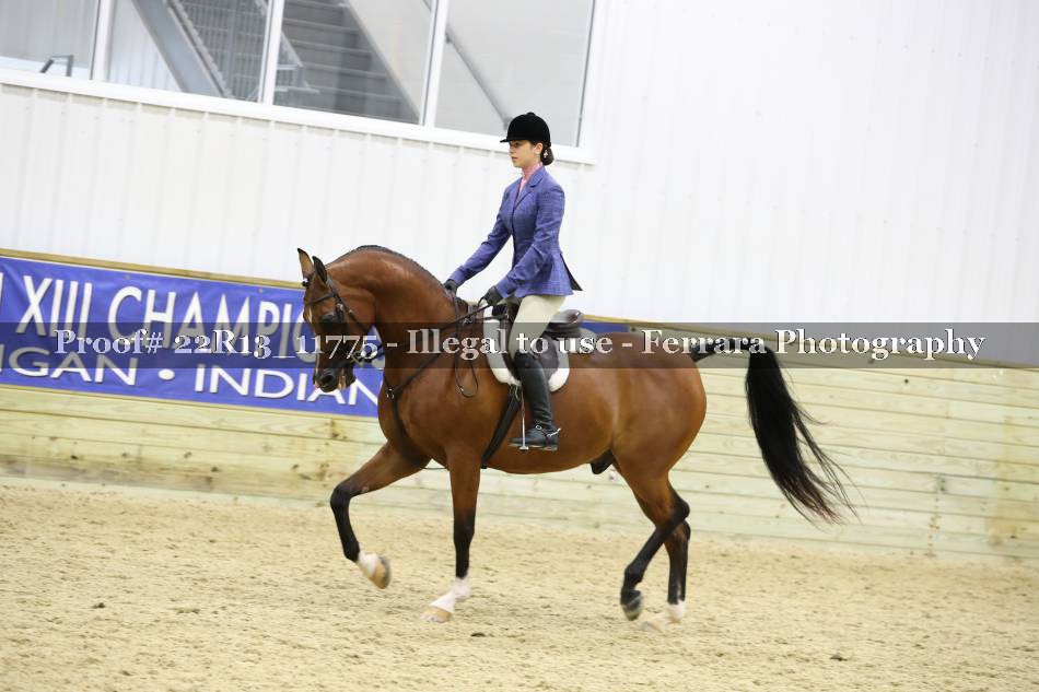 Proof 22R13_11775