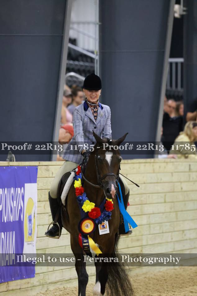 Proof 22R13_11785