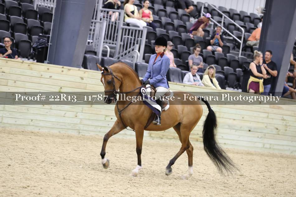 Proof 22R13_11787