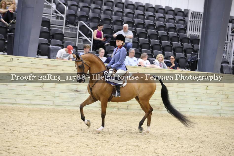 Proof 22R13_11788