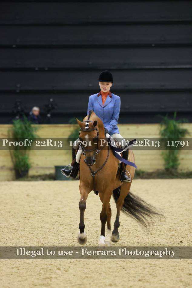 Proof 22R13_11791
