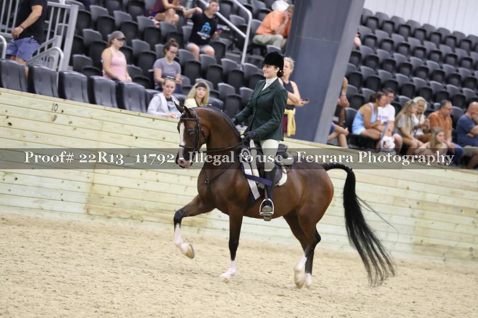 Proof 22R13_11792