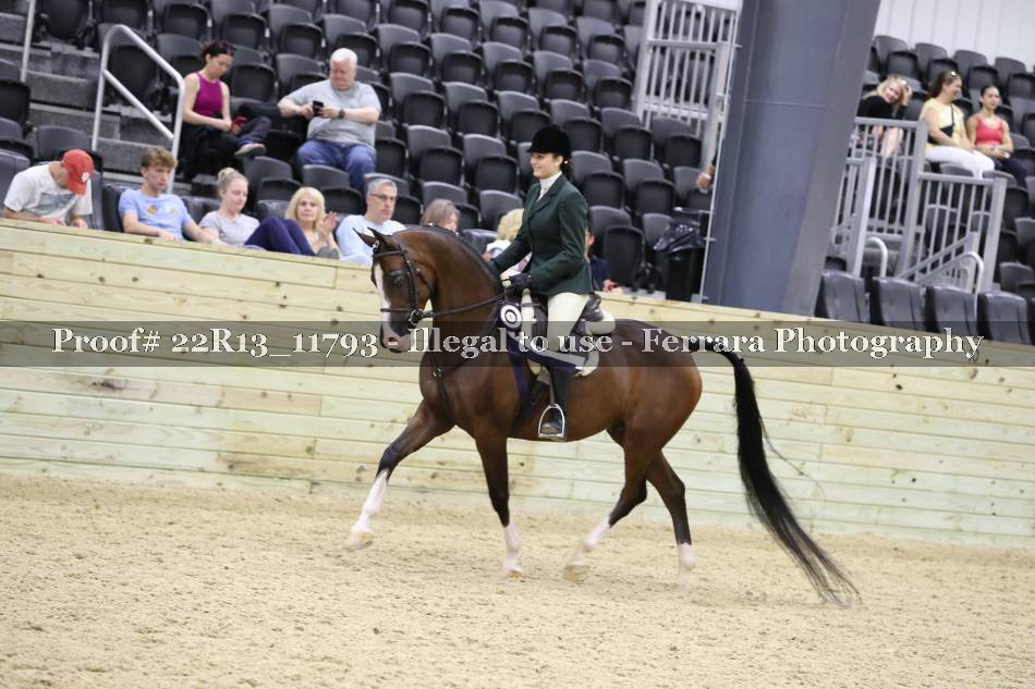 Proof 22R13_11793