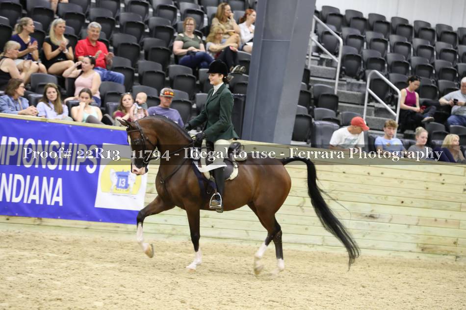 Proof 22R13_11794