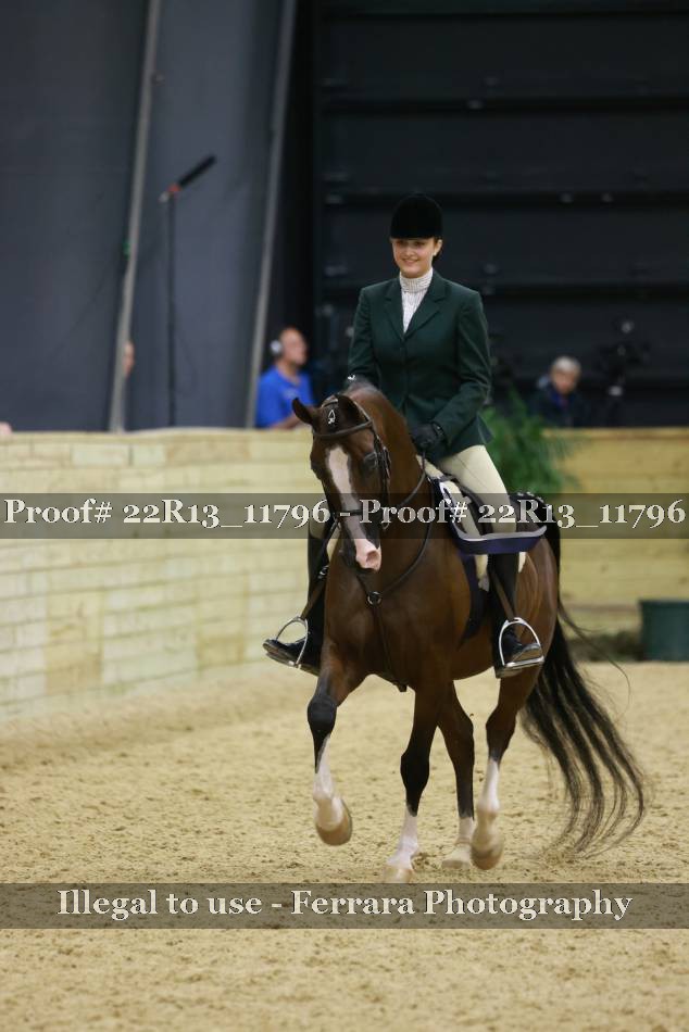 Proof 22R13_11796
