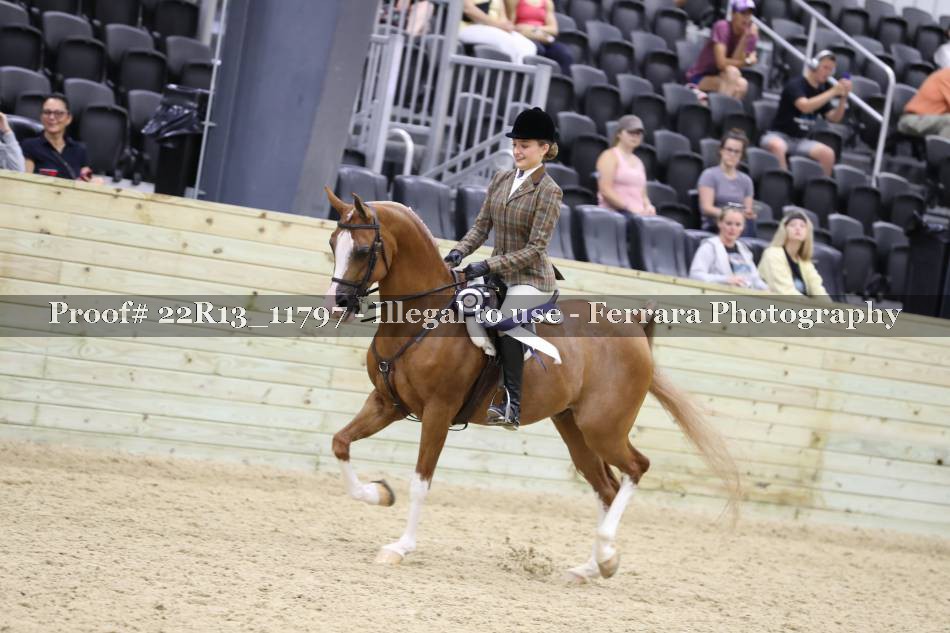 Proof 22R13_11797