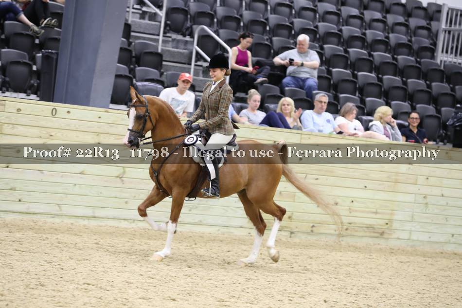 Proof 22R13_11798