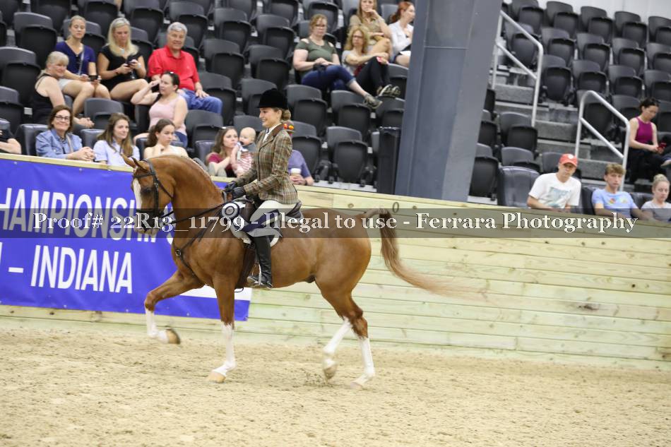Proof 22R13_11799