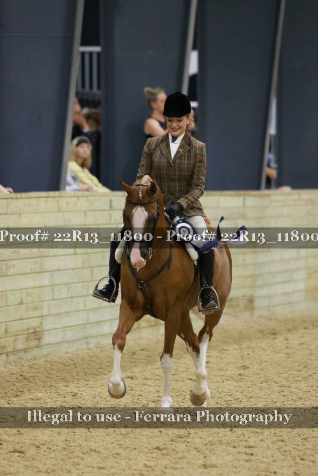 Proof 22R13_11800