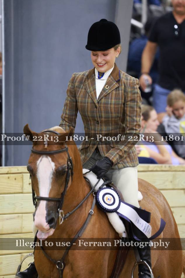 Proof 22R13_11801