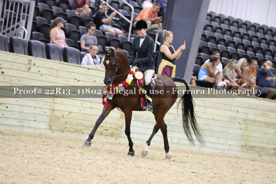Proof 22R13_11802