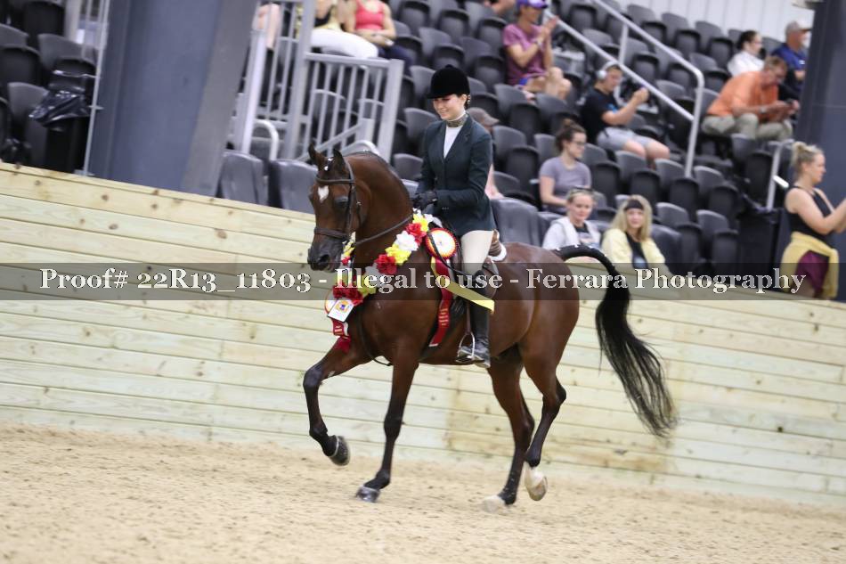 Proof 22R13_11803