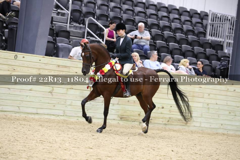 Proof 22R13_11804