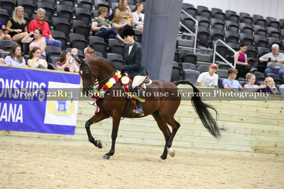Proof 22R13_11805