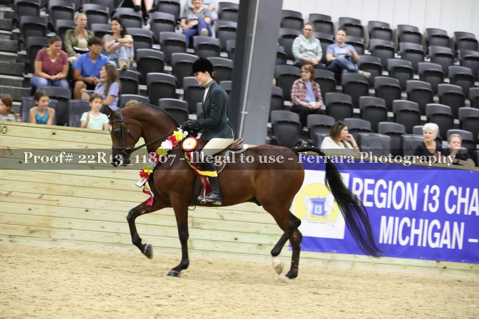 Proof 22R13_11807
