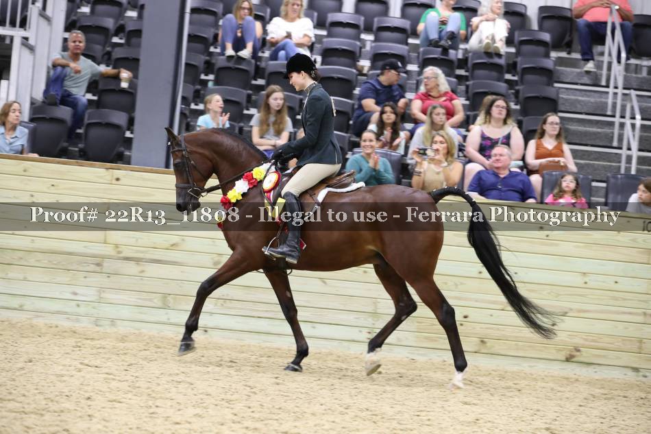Proof 22R13_11808