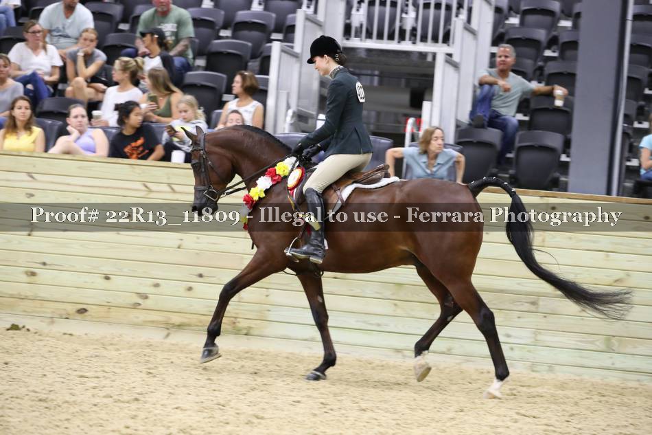 Proof 22R13_11809