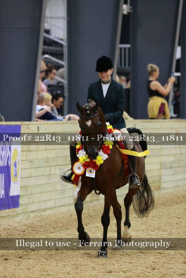 Proof 22R13_11811