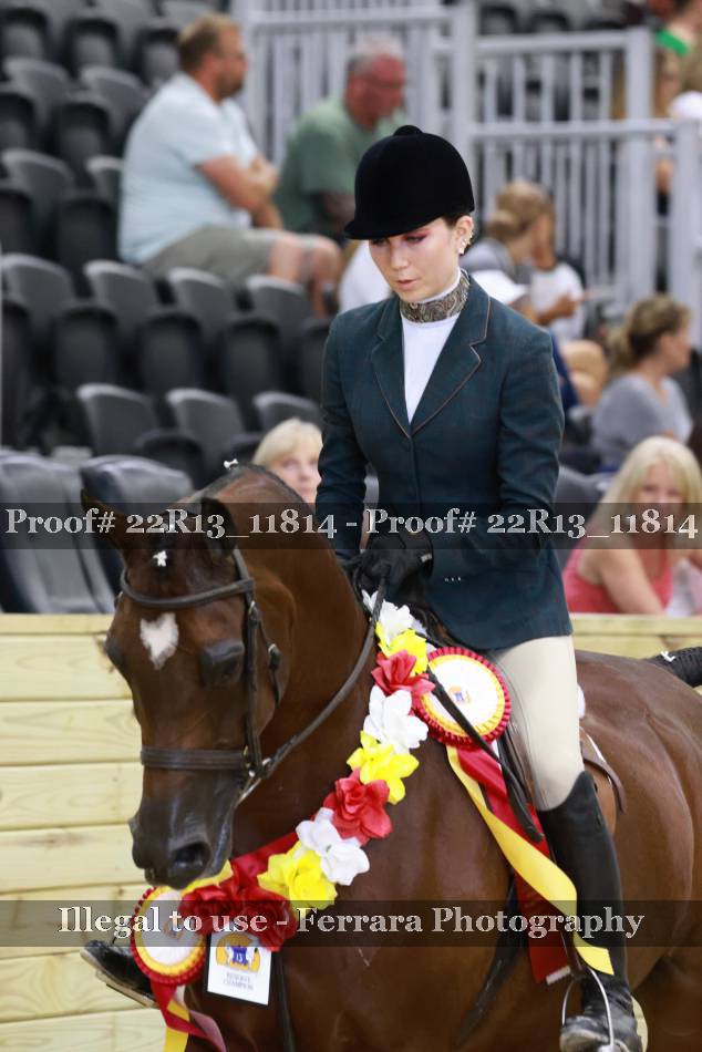 Proof 22R13_11814