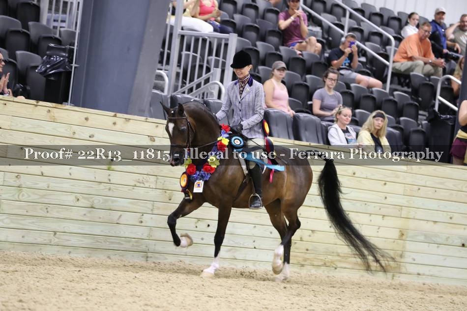Proof 22R13_11815