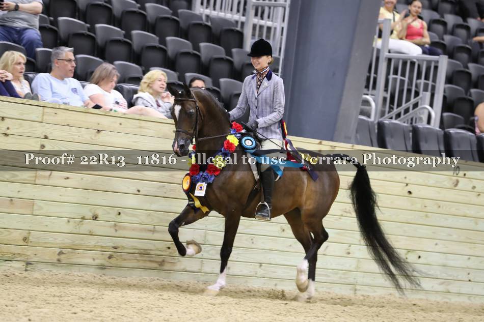Proof 22R13_11816