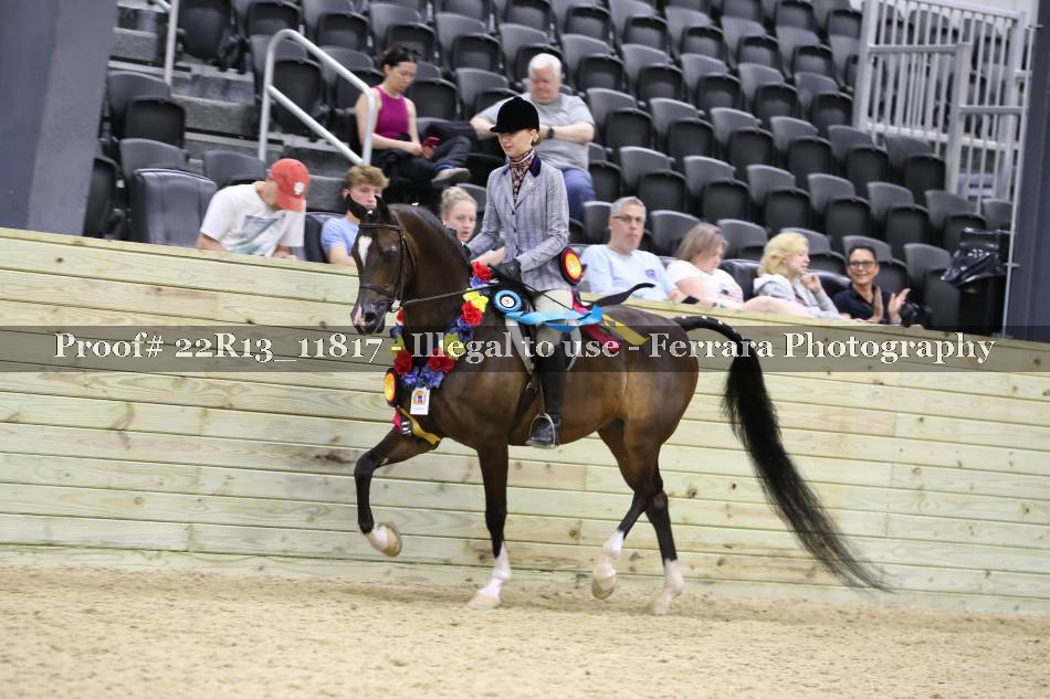 Proof 22R13_11817