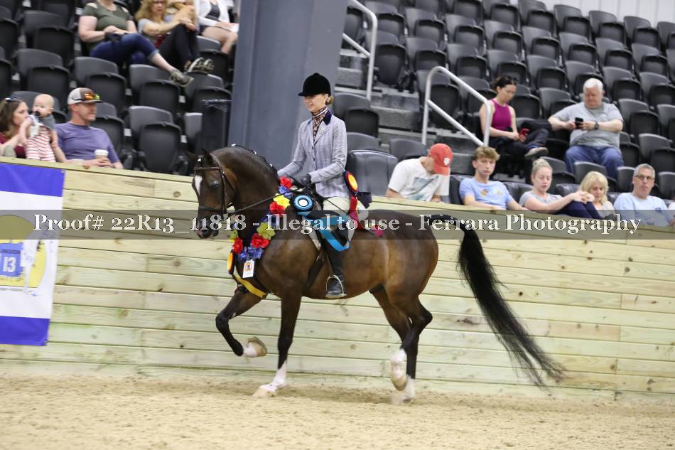 Proof 22R13_11818