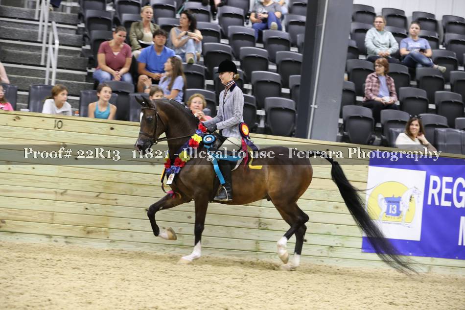 Proof 22R13_11821