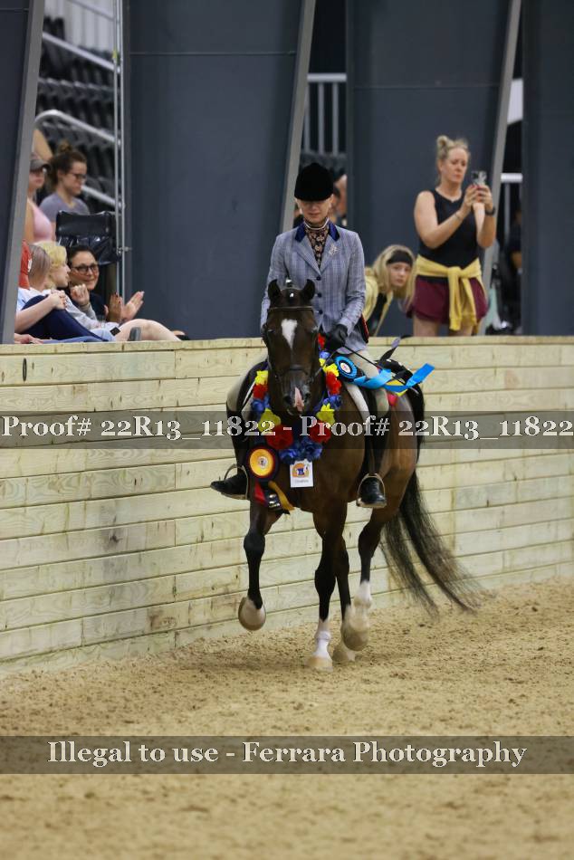 Proof 22R13_11822