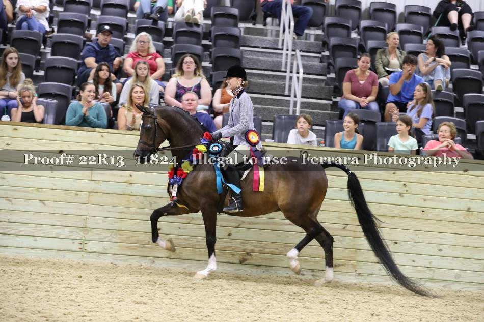 Proof 22R13_11824