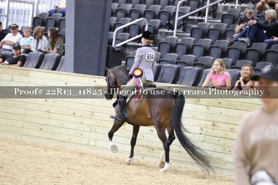 Proof 22R13_11825