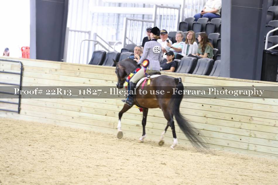 Proof 22R13_11827