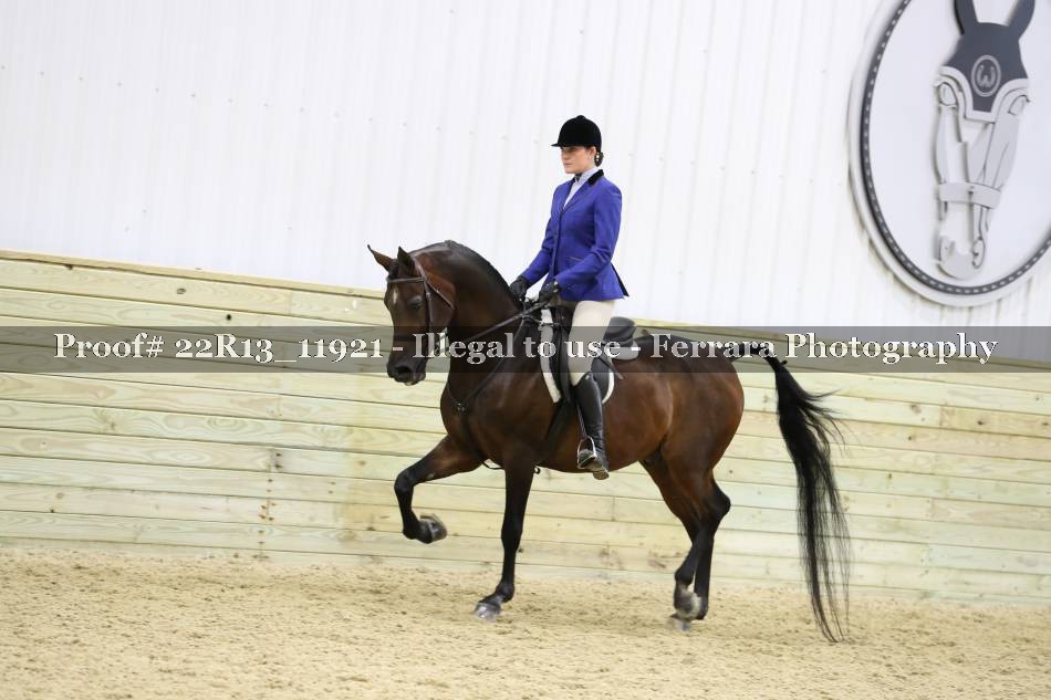 Proof 22R13_11921