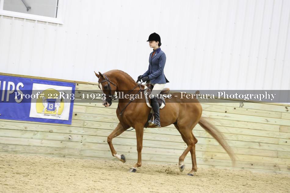 Proof 22R13_11923