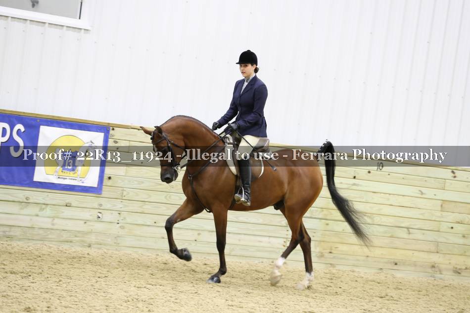 Proof 22R13_11924