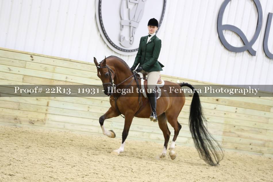 Proof 22R13_11931